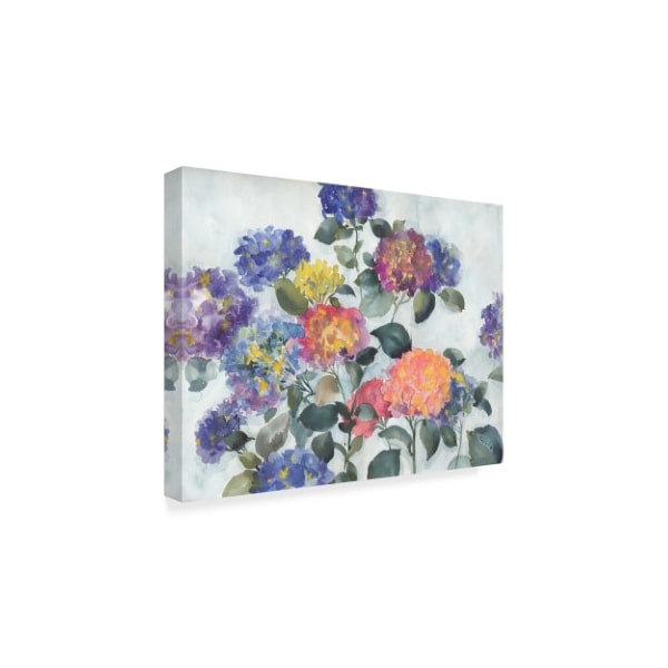 Marietta Cohen Art And Design 'Hortensia Delight' Canvas Art,14x19